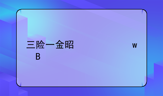 三险一金是社保吗