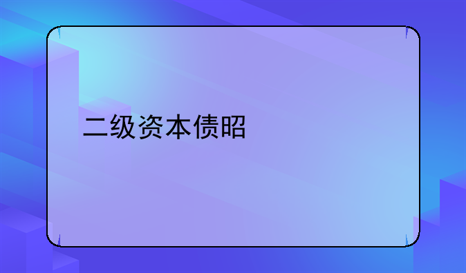 二级资本债是什么