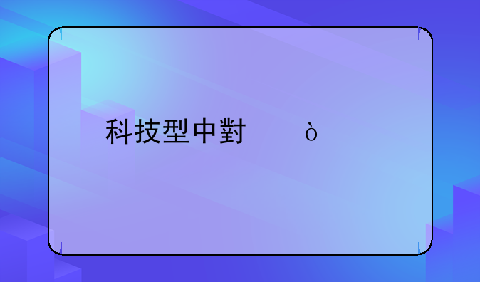 科技型中小企业