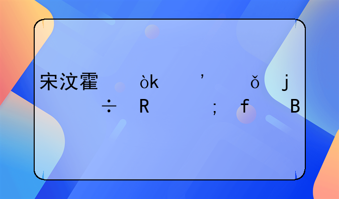 宋汶霏：光影中的绽放与陨落