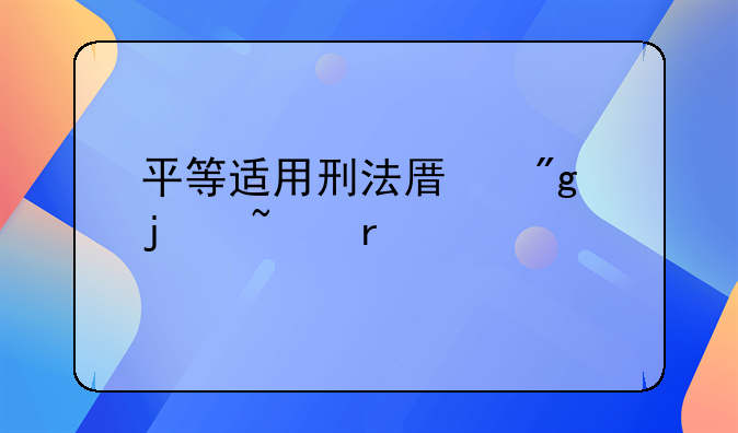 平等适用刑法原则的基本内容