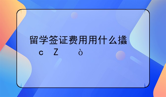 留学签证费用用什么支付方式