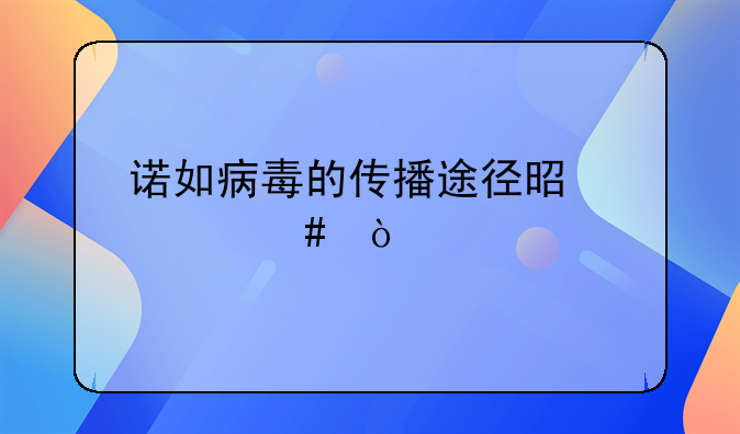诺如病毒的传播途径是什么？