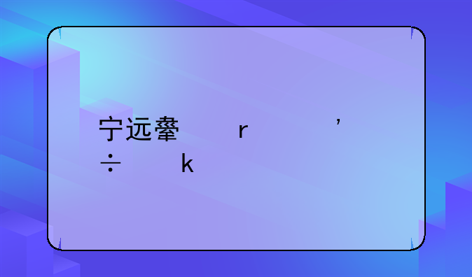 宁远舟在安都做什么