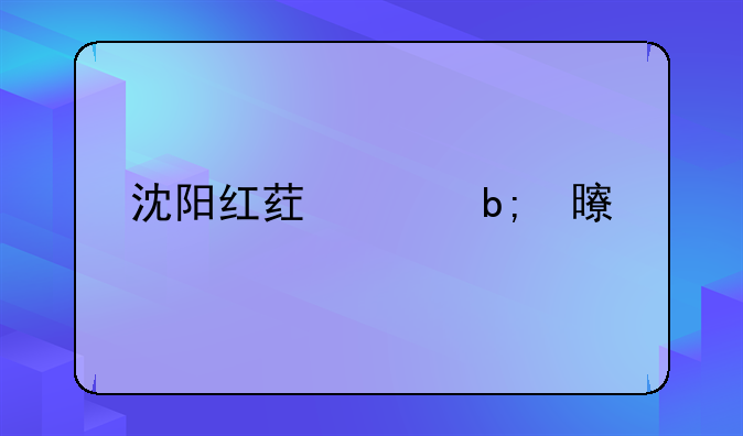 沈阳红药说明书详解
