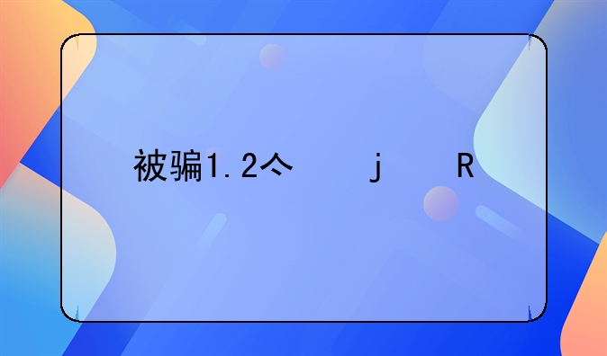 被骗1.2亿的电视剧叫什么