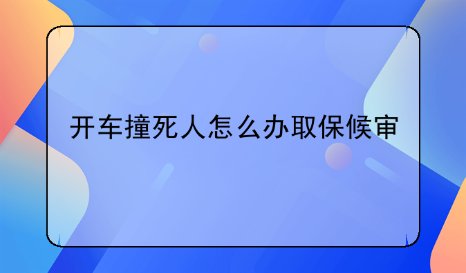 开车撞死人怎么办取保候审