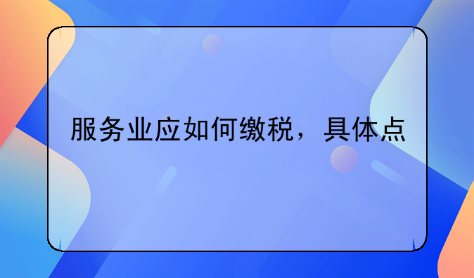 服务业应如何缴税，具体点