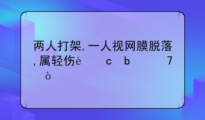 两人打架,一人视网膜脱落,属轻伤还是重伤?