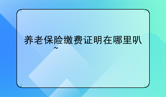 养老保险缴费证明在哪里可以查询