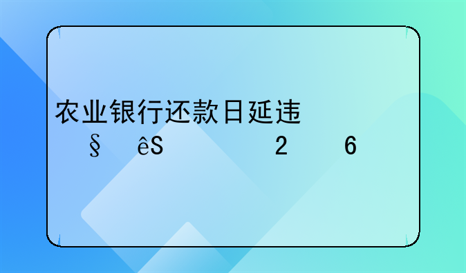 农业银行还款日延迟一天应对指南