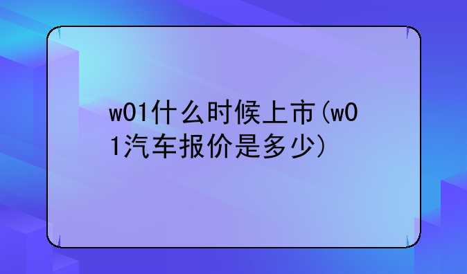w01什么时候上市(w01汽车报价是多少)