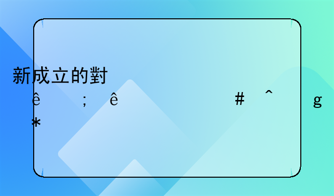 新成立的小规模纳税人什么时候报税