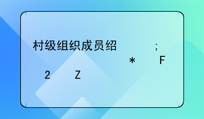 村级组织成员经济责任审计报告范文