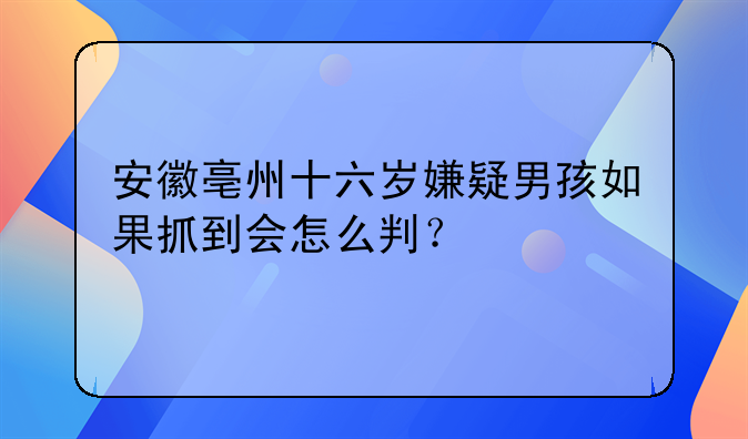 安徽亳州十六岁嫌疑男孩如果抓到会怎么判？