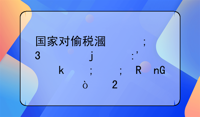 国家对偷税漏税行为的严厉处罚与税收监管强化