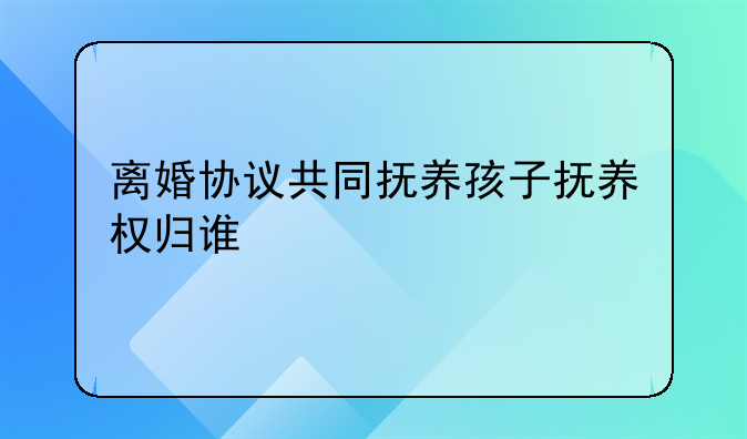 离婚协议共同抚养孩子抚养权归谁