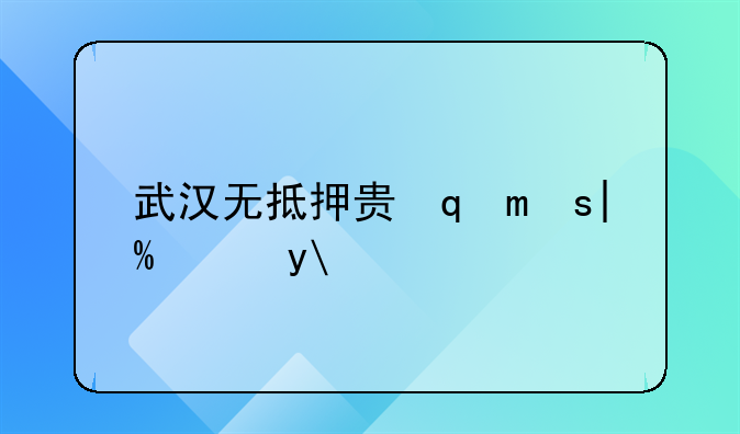 武汉无抵押贷款--汉口无抵押贷款