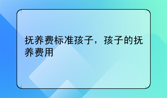 抚养费标准孩子，孩子的抚养费用